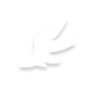 Fly