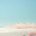 Beach Background
