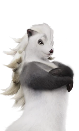 Piopiota