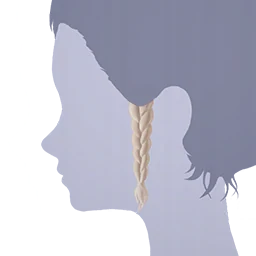 Braided Hair