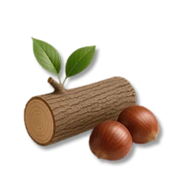 Chestnut Tree Timber