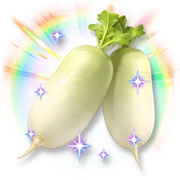 Huge Colorful Shining Moondew Radish