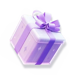 Accessory Gift
