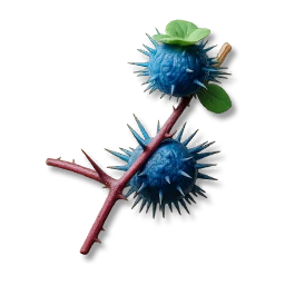 Blue Thornfruit