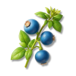 Bitter Berry
