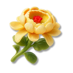 Goldcup Daisy