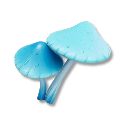 Blue Fluffroom