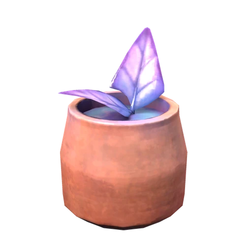 Dwellberry Infusion