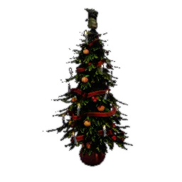 Wintumber Tree