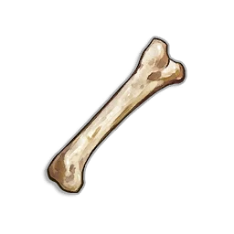 Animal Bone