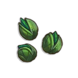 Avantoe Seeds