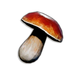 Bittercap Mushroom