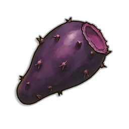 Bunny Cactus Seeds