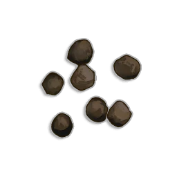 Cabbage Seeds