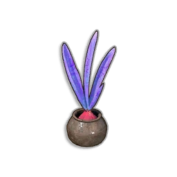 Potted Onion