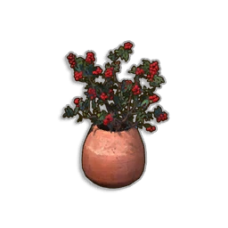 Potted Redberry Bush