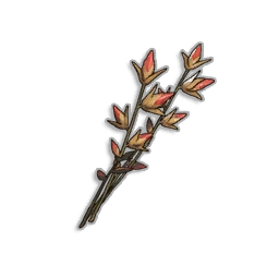 Desert Weed