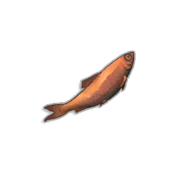 Burnt Sardine