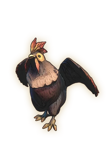 Chicken