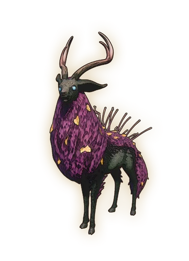 Deer