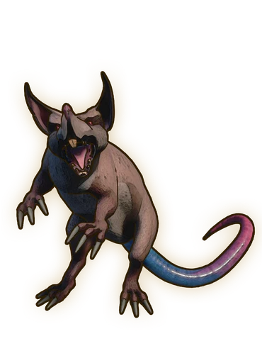 Giant Rat