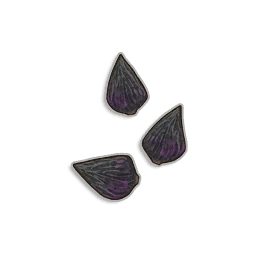 Onion Seeds