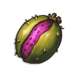 Pipe Cactus Seeds