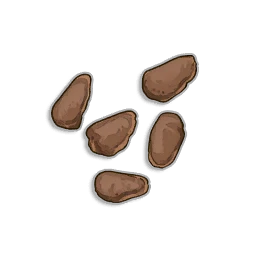 Potato Seeds