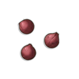 Redberry Seeds