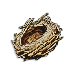 Bird Nest