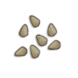 Tomato Seeds
