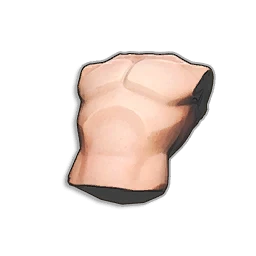 Human torso