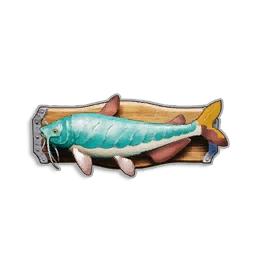 Pristine Armoured Catfish Trophy