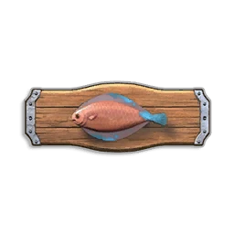 Pristine Desert Sole Trophy