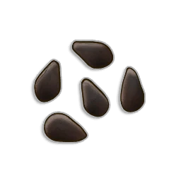 Watermelon Seeds