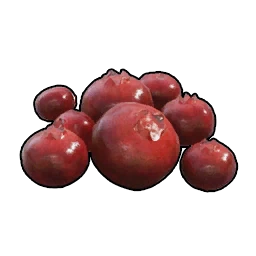 Red Berries