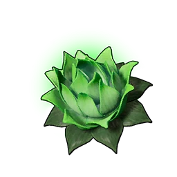 Life Lotus (S)