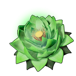 Life Lotus (L)
