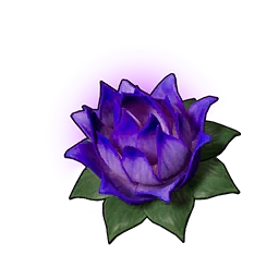 Carrying Lotus (S)