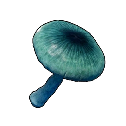 Mysterious Mushroom